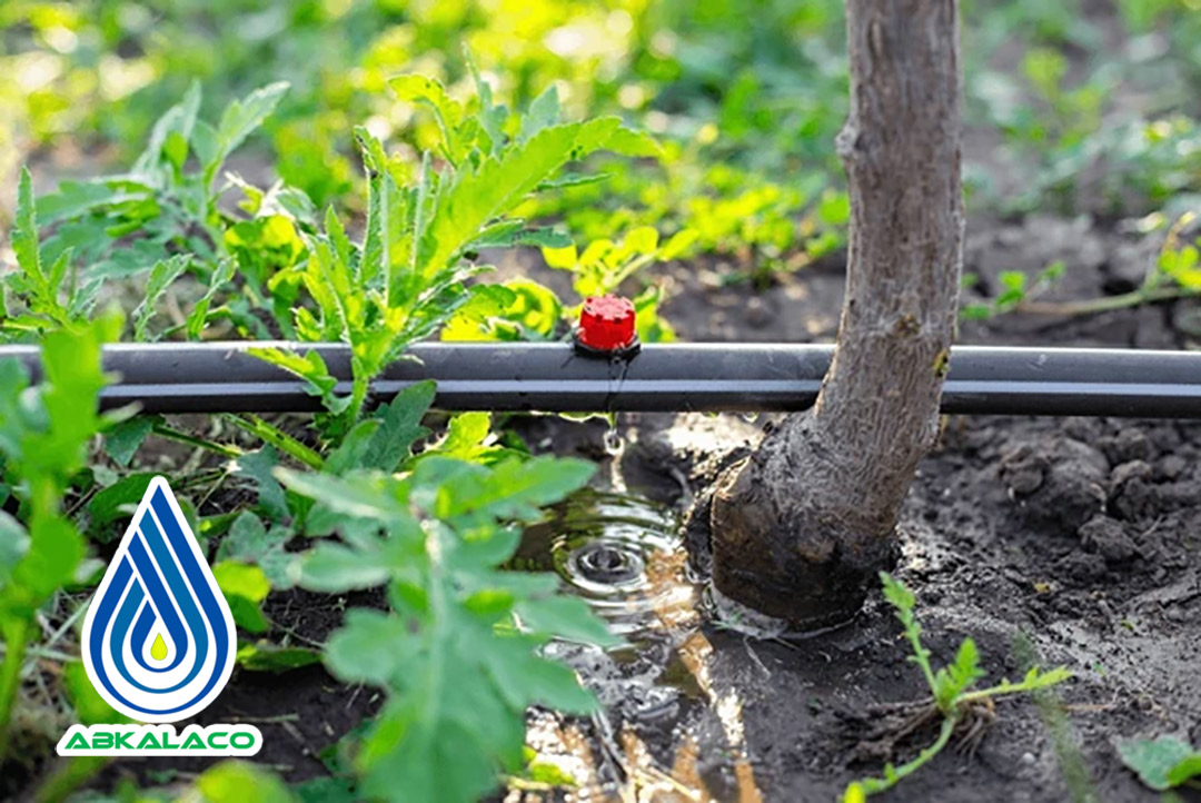 آبیاری قطره ای